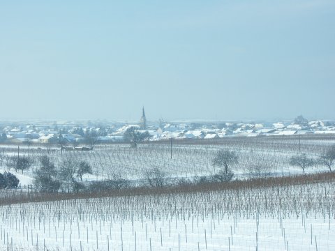 View over gols on a frosty day (-6° C.)