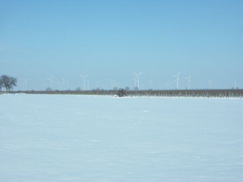 Windräder erheben sich über dem Bodennebel.