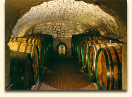 Red wine cellar with big oakwood casks