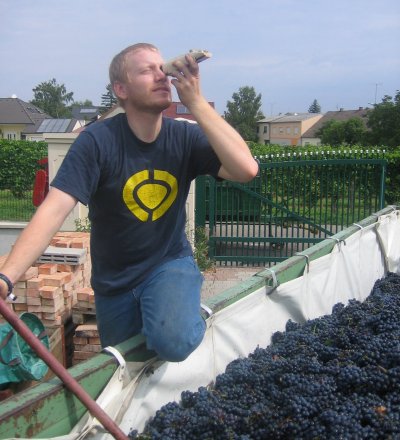 Weinlese, Wine harvest