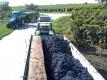 Harvesting trailer filled with Blauer Zweigelt grapes