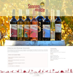 Screenshot of the 2025 Website