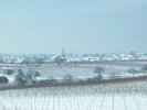 Panorama von Gols, verschneit im Winter.