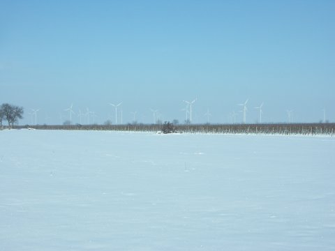 Wind power plants in frosty ground fog.