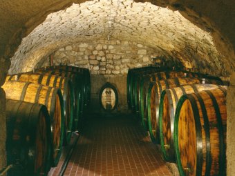 Traditional red wine cellar.