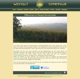 Screenshot of the 2006s Website