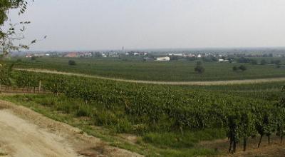 Panoramiv view of Gols in summer