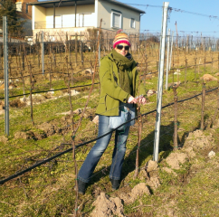 Kahtrin tying down the vines Binden