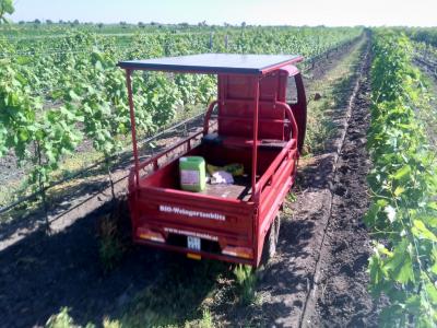 E-Lastendreirad mit Solarpanel am Dach von hinten