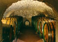 A view into the red wine cellar with big oakwood barrels