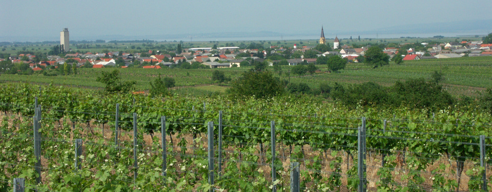 Panoramic view of Gols in early summer