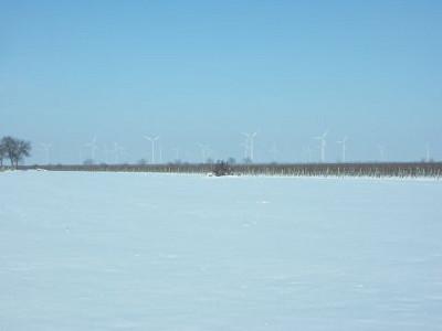View over a snowy field. Behind it, a vineyard stretches out, and even further back one sees white wind turbines rising from the hazy ground fog.