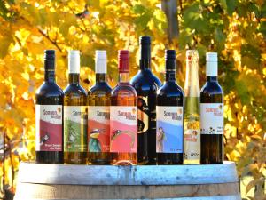 Closeup of wine bottles standing on a barrique barrel.