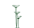 Daisies as logo for the Sauvignon Blanc