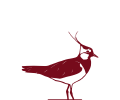 A lapwing as logo for the Blauer Zweigelt Alte Reben