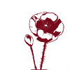 Poppies as logo for the Pinot Noir