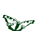 A butterfly as logo for the Junger Welschriesling