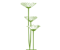 Daisies as logo for the Sauvignon Blanc