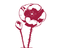 Klatschmohn als Logo für den Pinot Noir