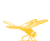 A dragonfly as logo for the Riesling