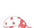 A ladybug as logo for the Rosé