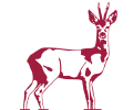 A deer as logo for the Canopus