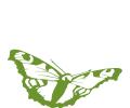 A butterfly as logo for the Junger Welschriesling